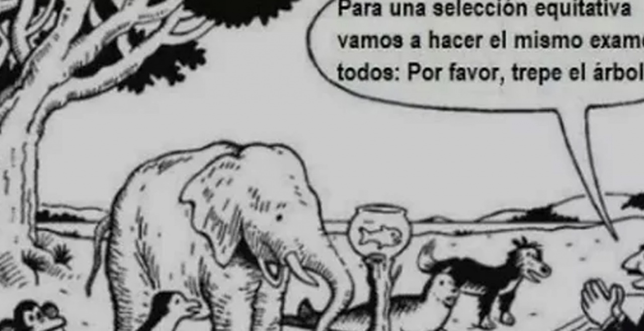 ¿Nos preocupamos o nos aburrimos?