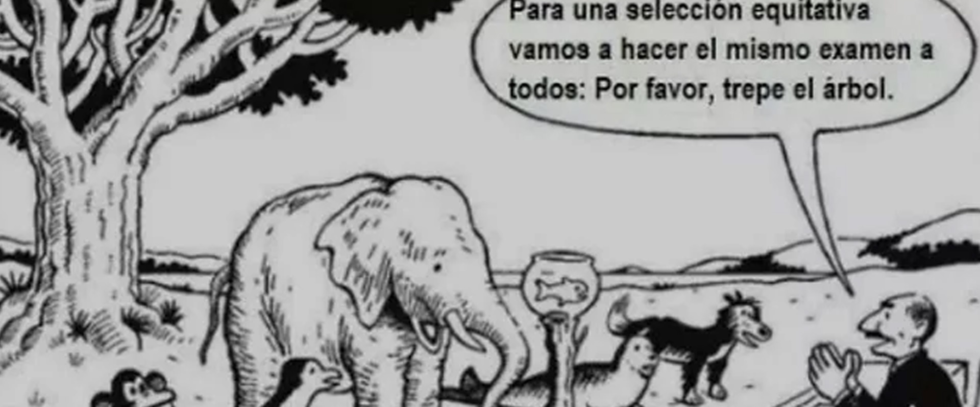 ¿Nos preocupamos o nos aburrimos?